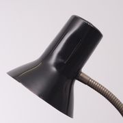 Small Hala Zeist Desk Lamp Holland, 1950s