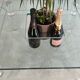 Marais international mtb110 - exceptional coffee table in altuglas & glass