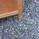 Commode en chêne pieds compas 4 tiroirs, 1950