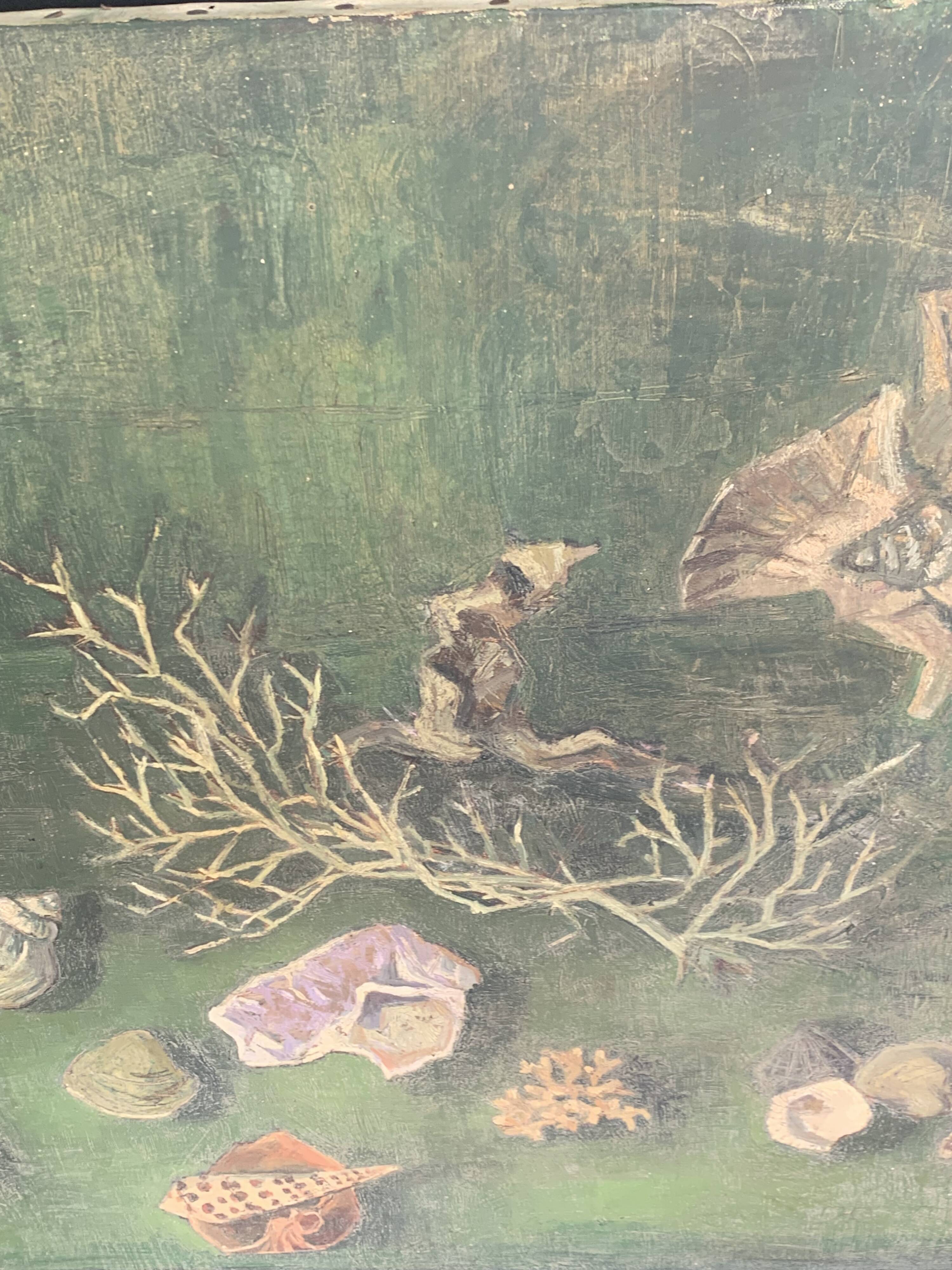 Large painting of shells, cabinet of curiosities, sign, vintage