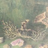 Large painting of shells, cabinet of curiosities, sign, vintage