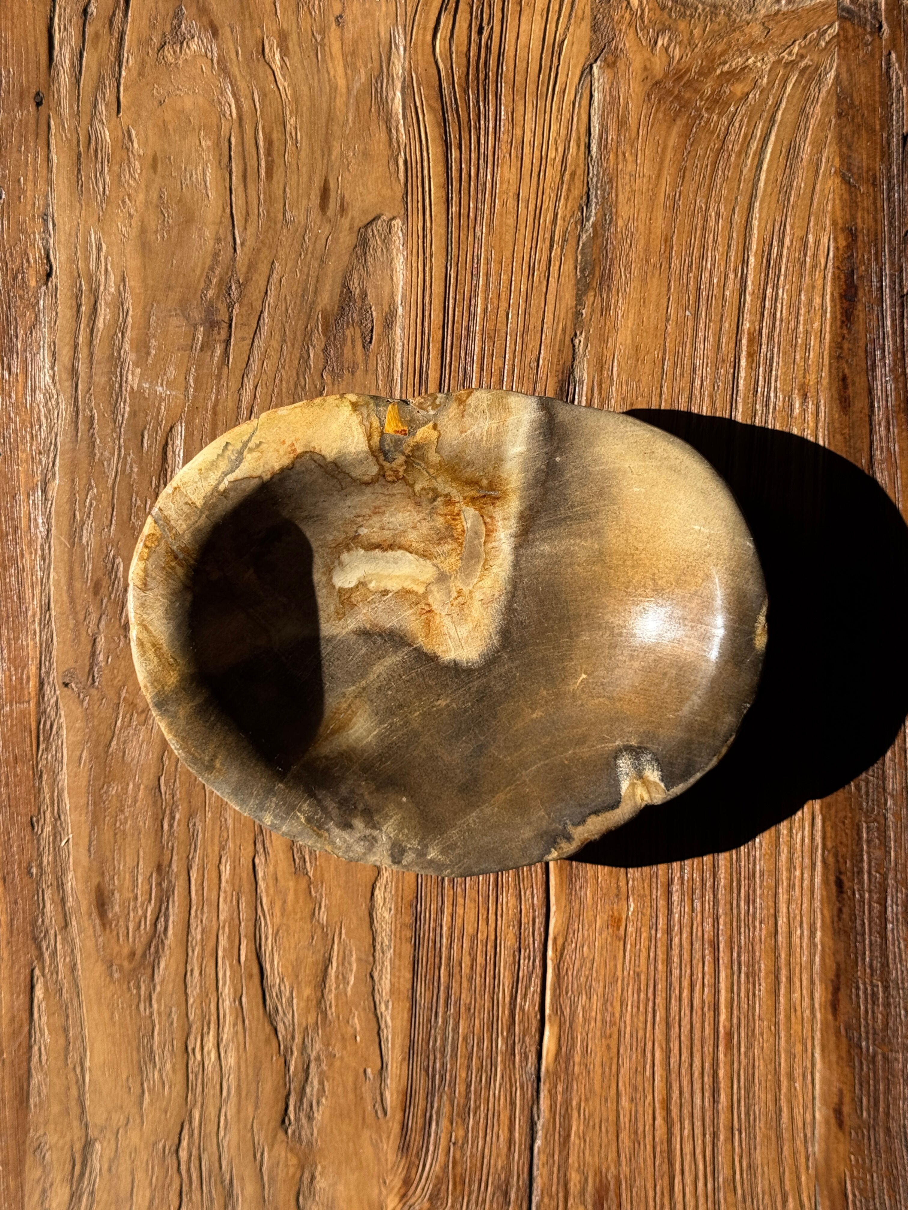 Dark beige oval petrified wood bowl 25x19 - 3782