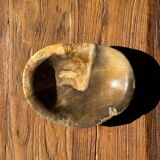 Dark beige oval petrified wood bowl 25x19 - 3782