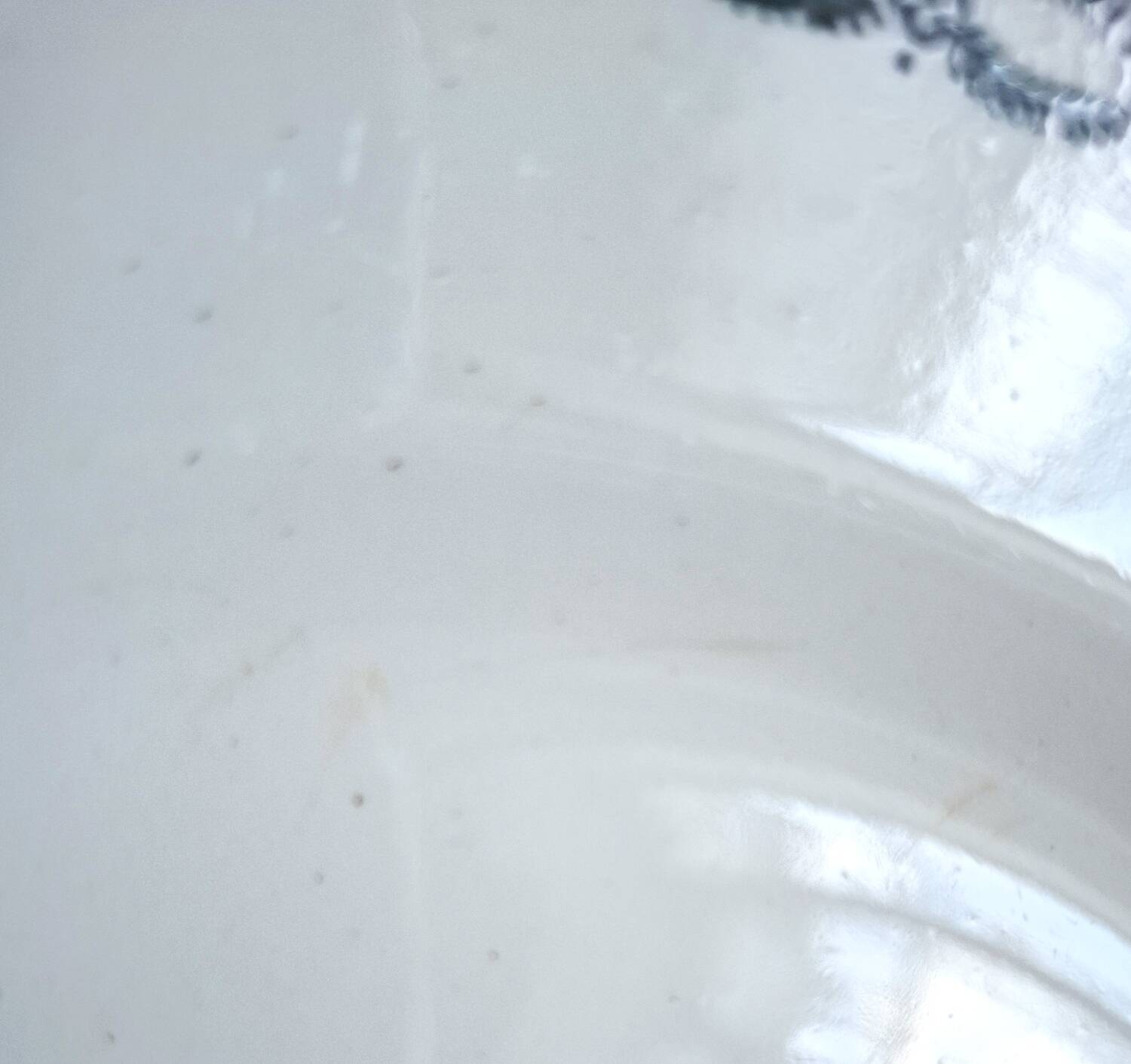 Mismatched antique flat plates made of ironstone accompanied by