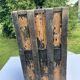 Old trunk