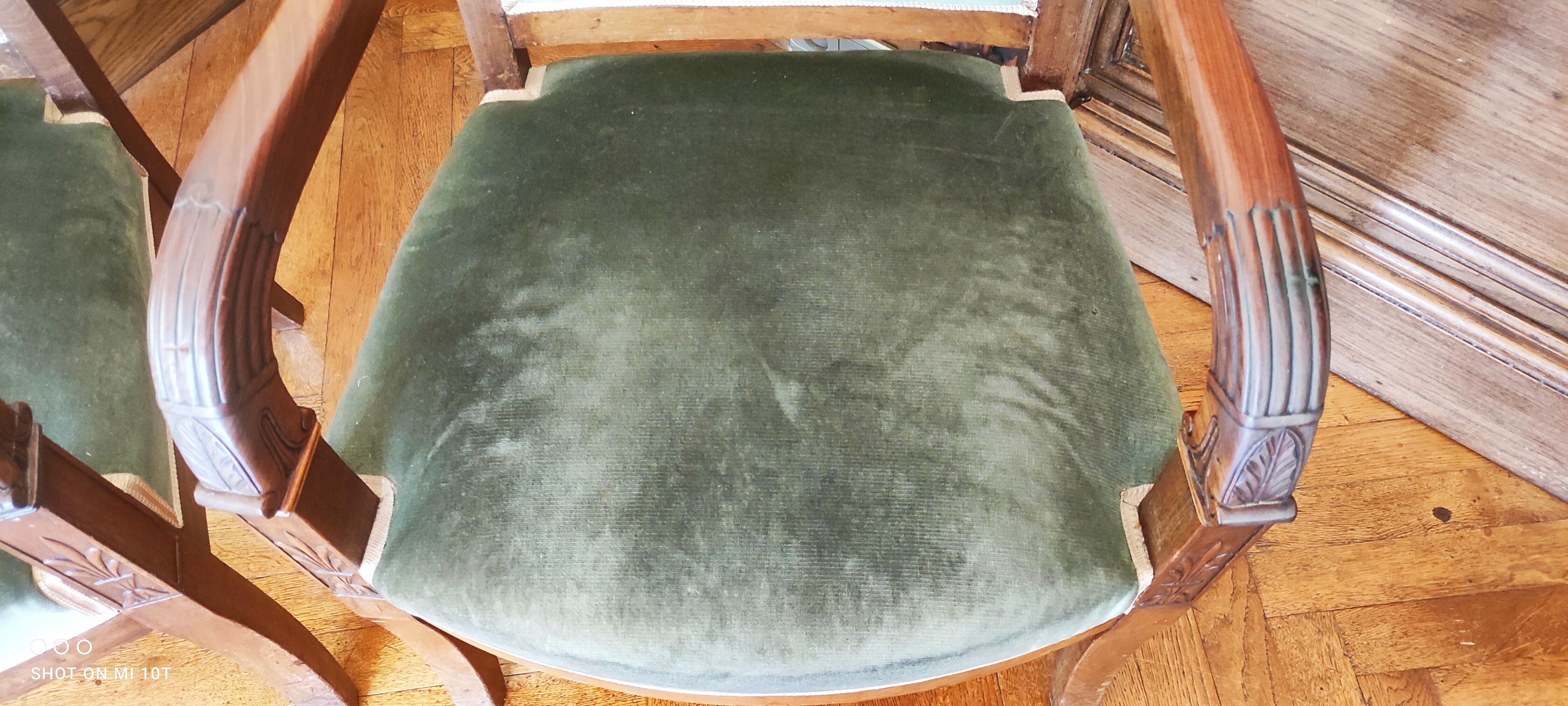 Pair of mahogany armchairs/palm décor/Restoration period