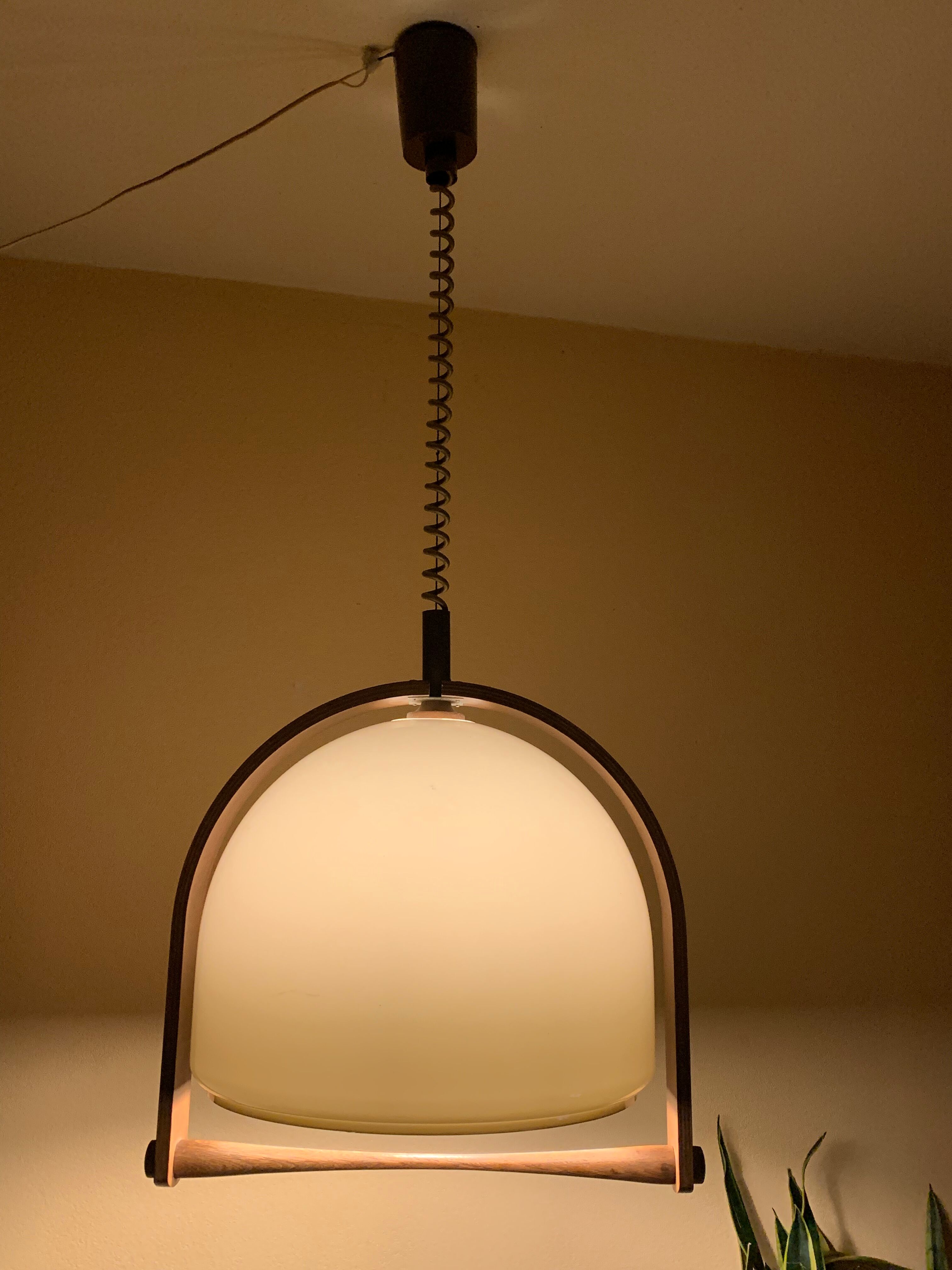 Temde Leuchten pendant lamp lucid and vintage teak