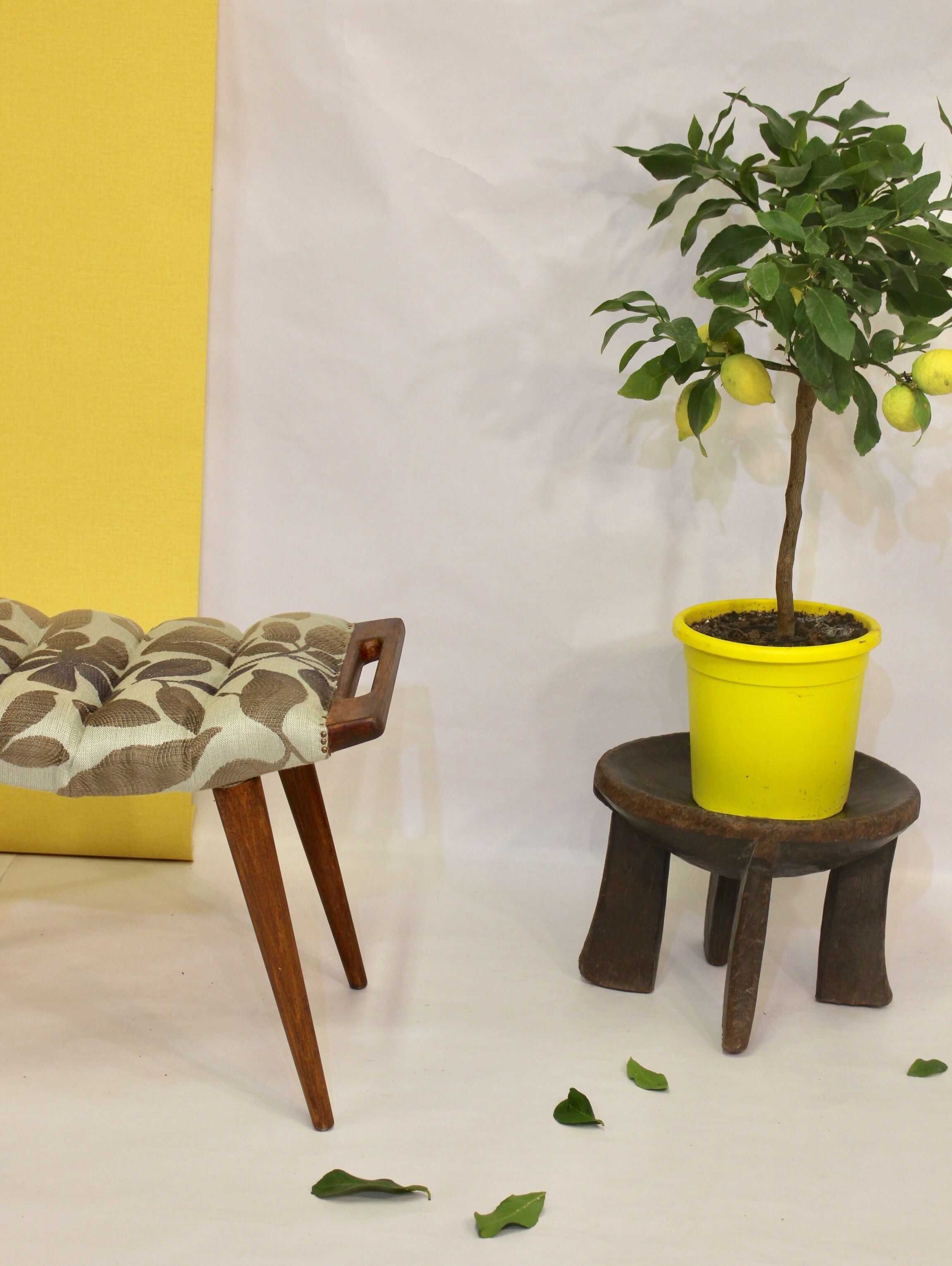 Vintage stool with 50/60s