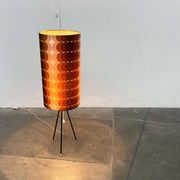 Mid-Century Modern Tripod Floor Lamp, 1960s