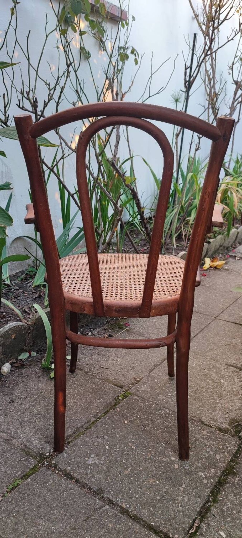 Thonet armchair no. 56