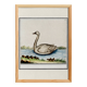 Small poster about the swan, after an old engraving from 1610.