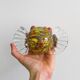 Blown glass paperweight - decorative glass candy.