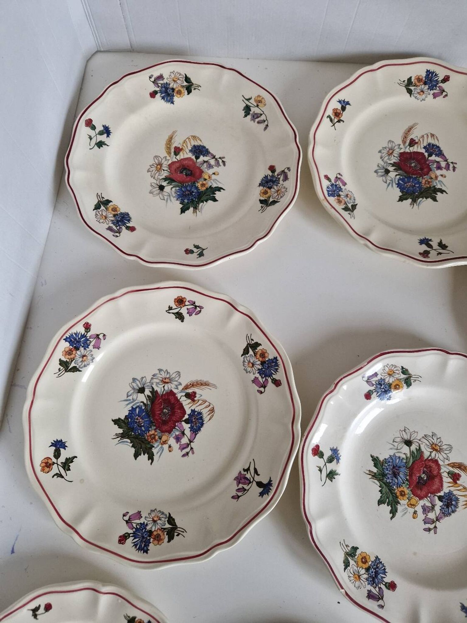 Set of 12 Sarreguemines Plates, Agreste Models