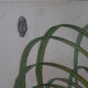 Cadre lithographie botanique plante exotique