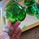 6 emerald green cups – 1970s, retro light