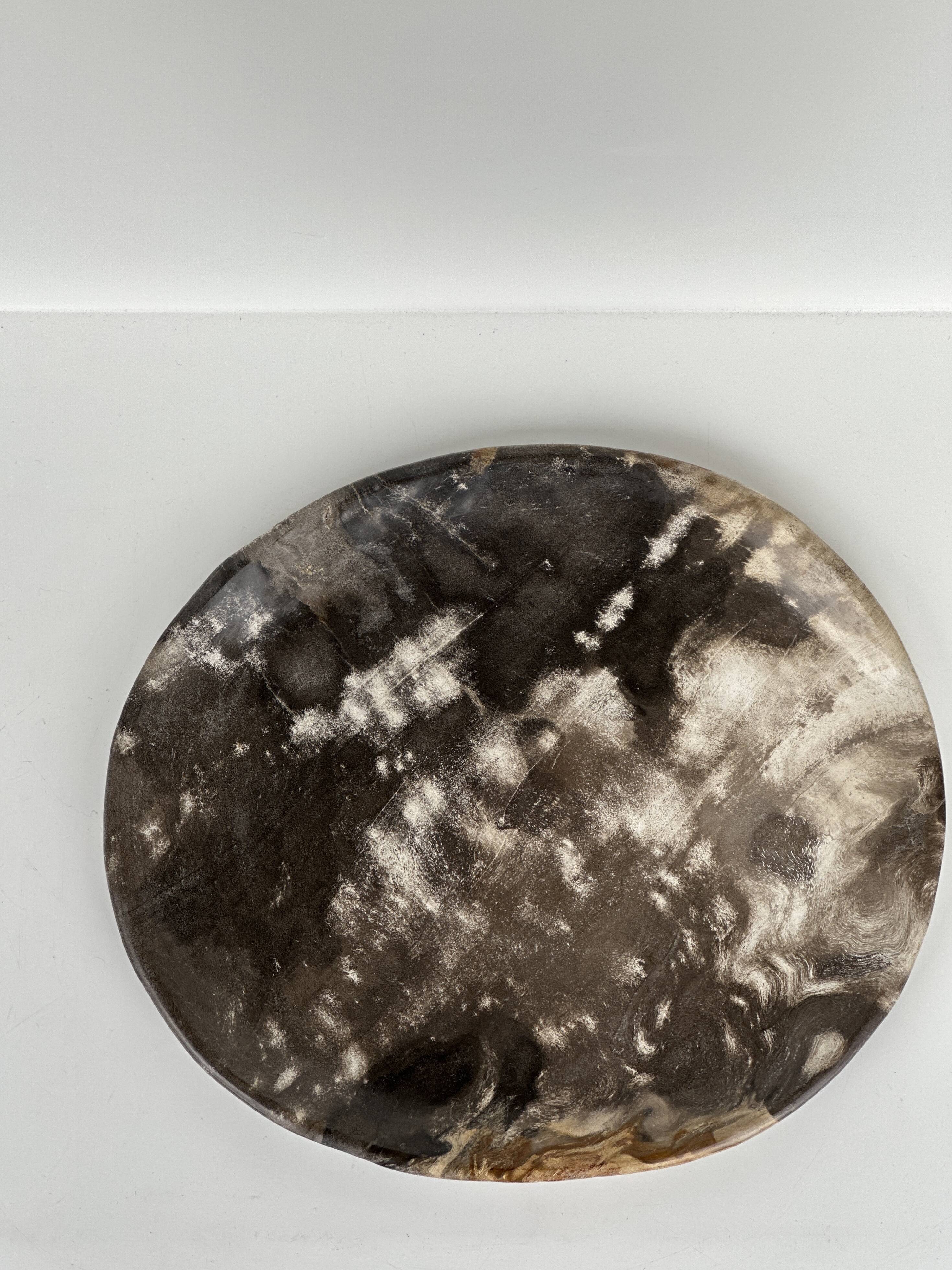 Dish in petrified wood