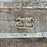 White patinated trunk