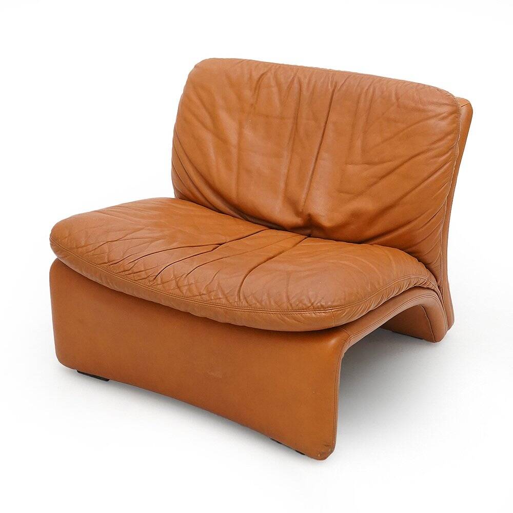 Leather armchair Selene by Adalberto Caraceni for B&T, 1970s