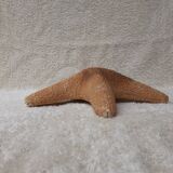 Starfish