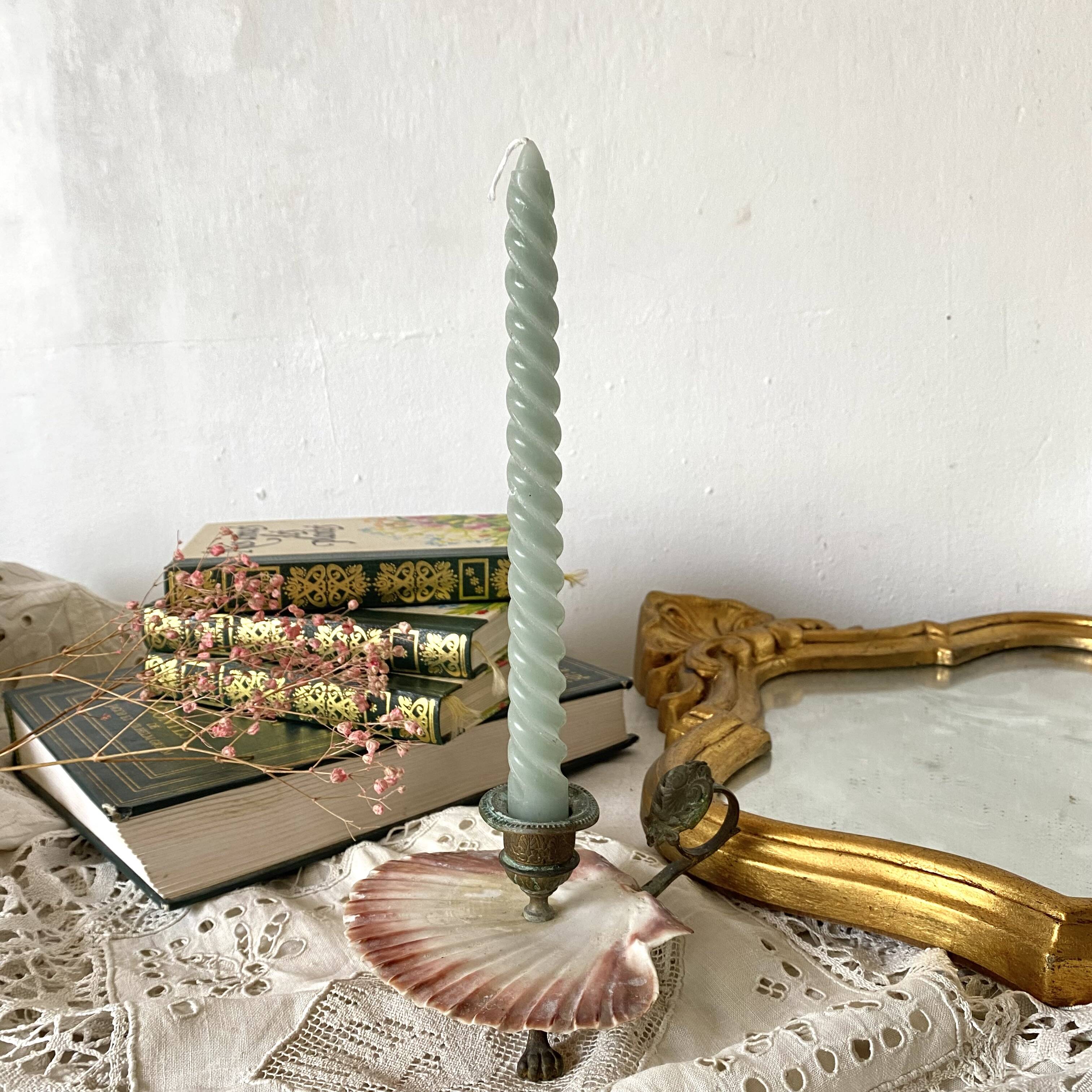 Scallop shell and lion paws candle holder