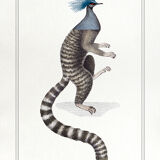 Set of 3 chimeras lithograph animal engraving