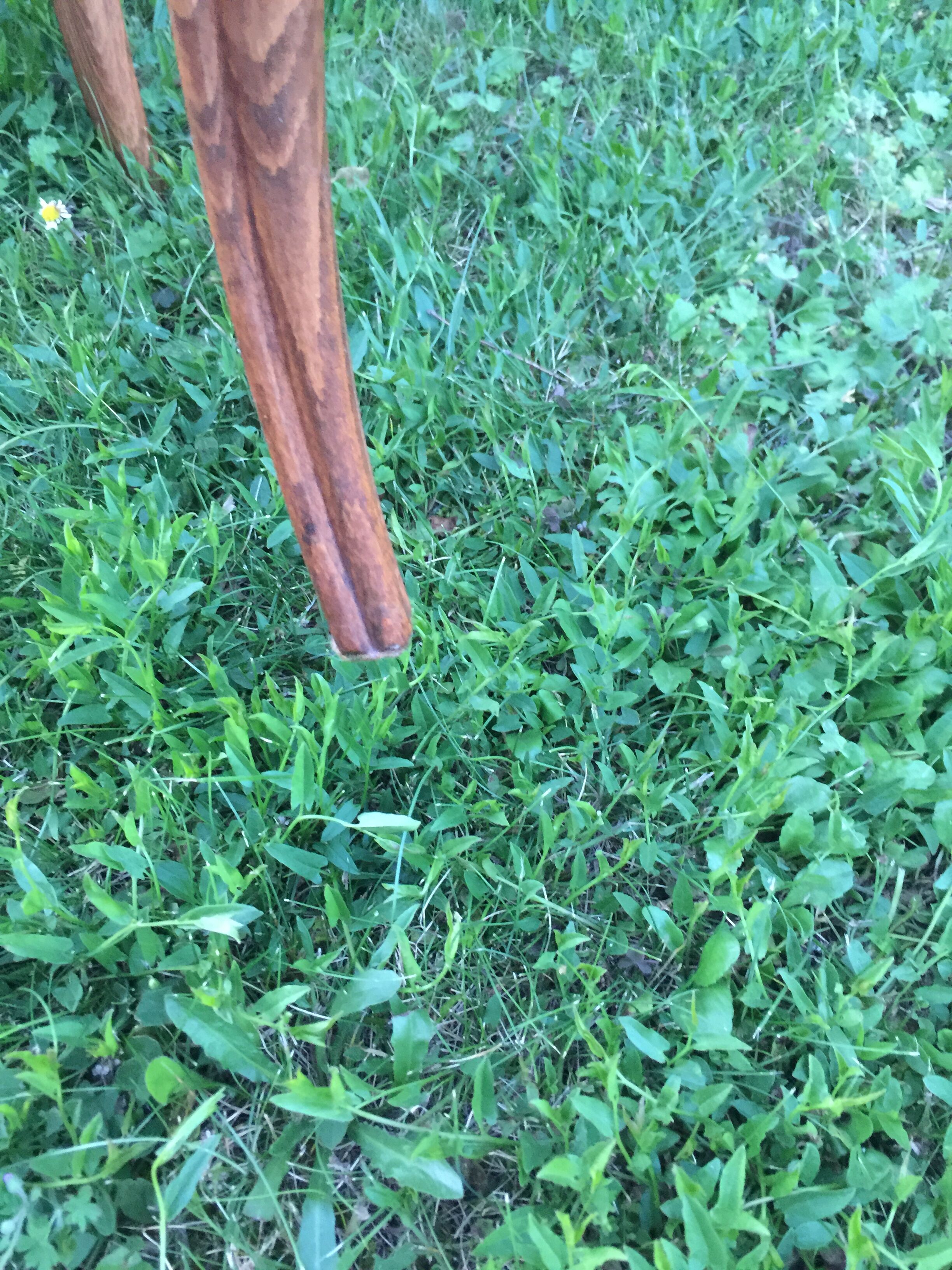 Canine Louis XV style office armchair