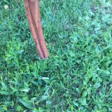 Canine Louis XV style office armchair