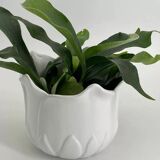 Cache-pot vintage en forme de tulipe en porcelaine blanche
