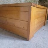 Les Arcs coffee table trunk