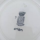 Iron earth dessert plates