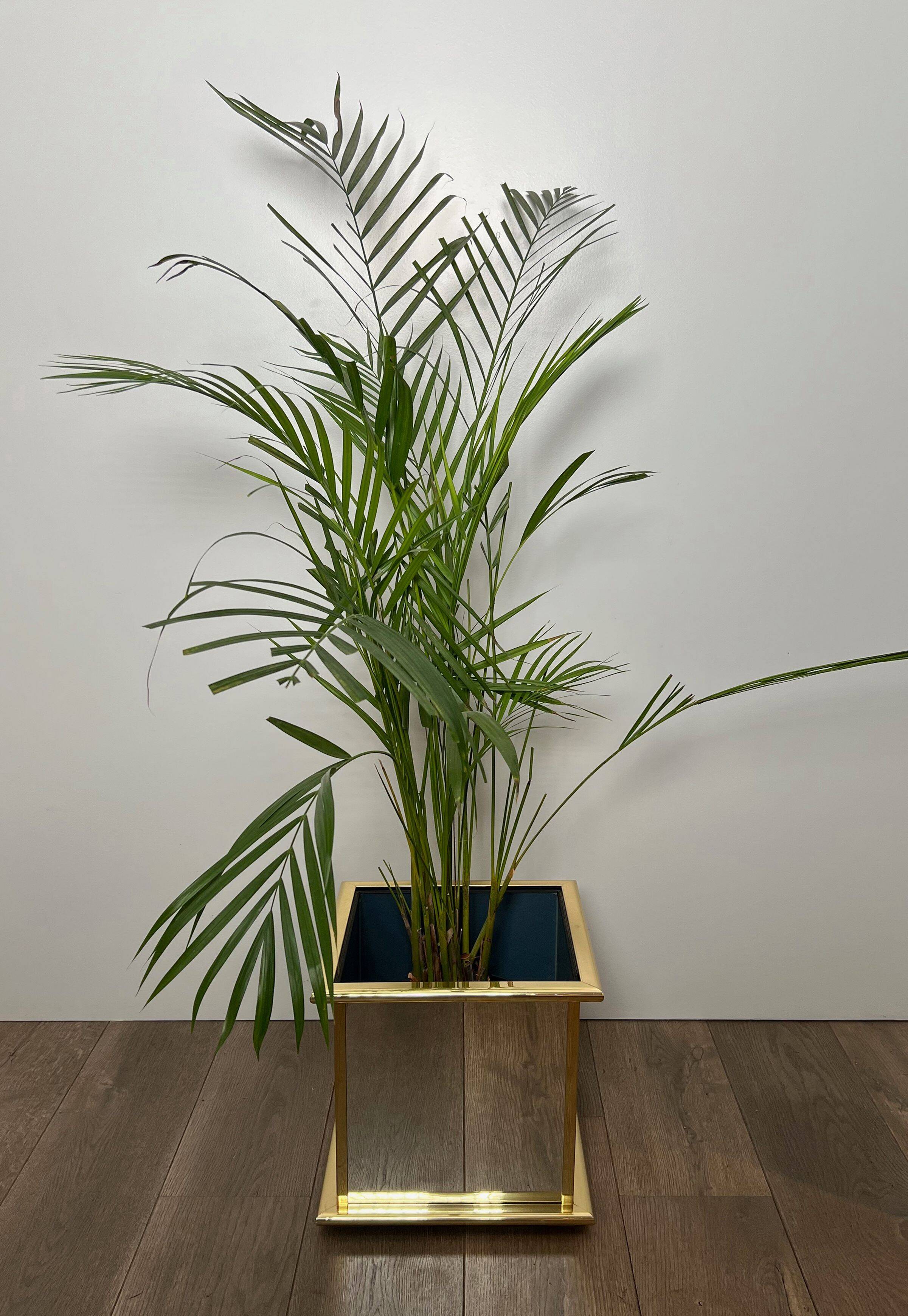 Jardinière en miroir et métal doré