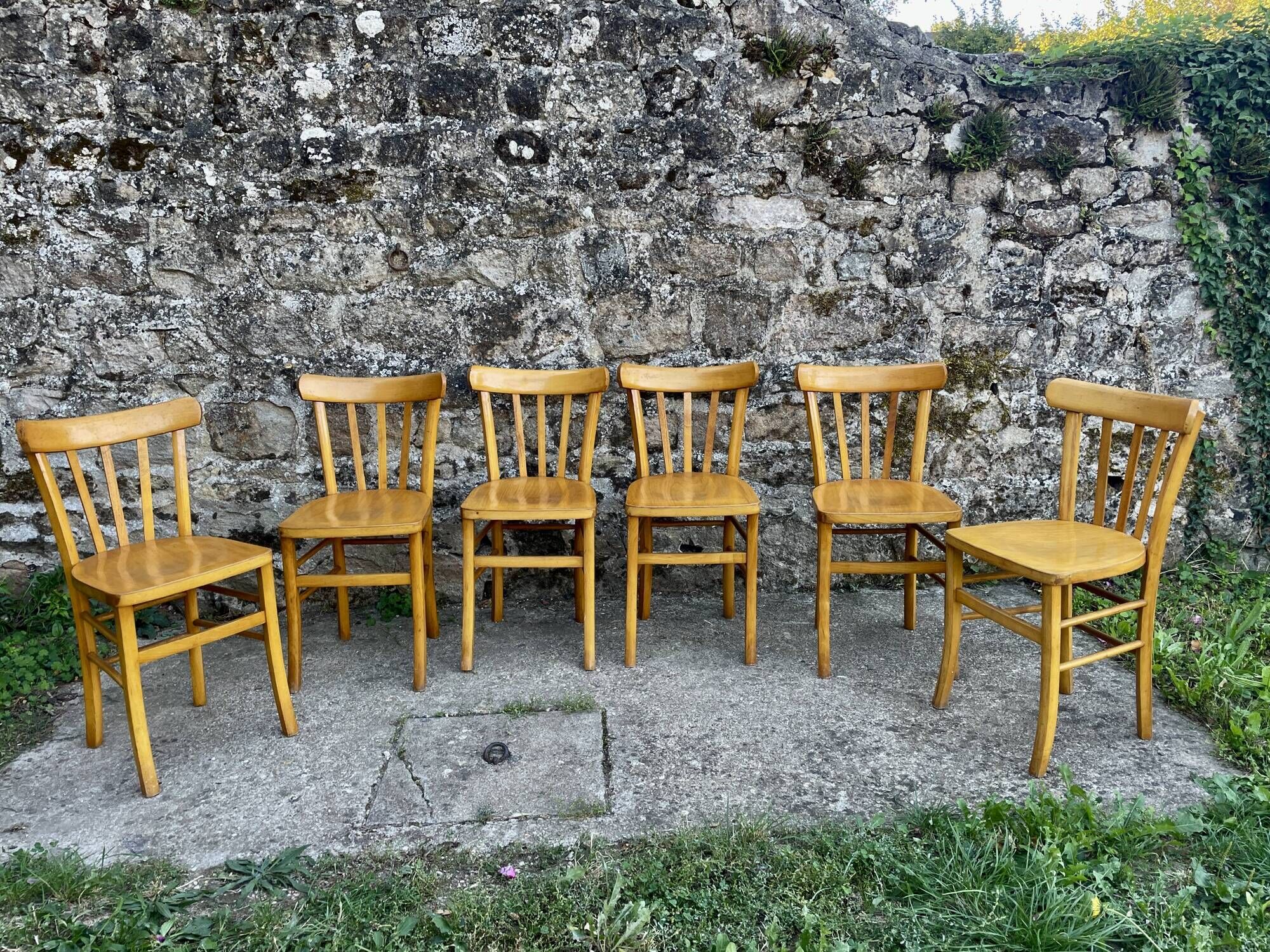 Set of 6 Luterma beech chairs, 1950.