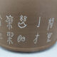 Beautiful terracotta teapot YI Xing Chinese China