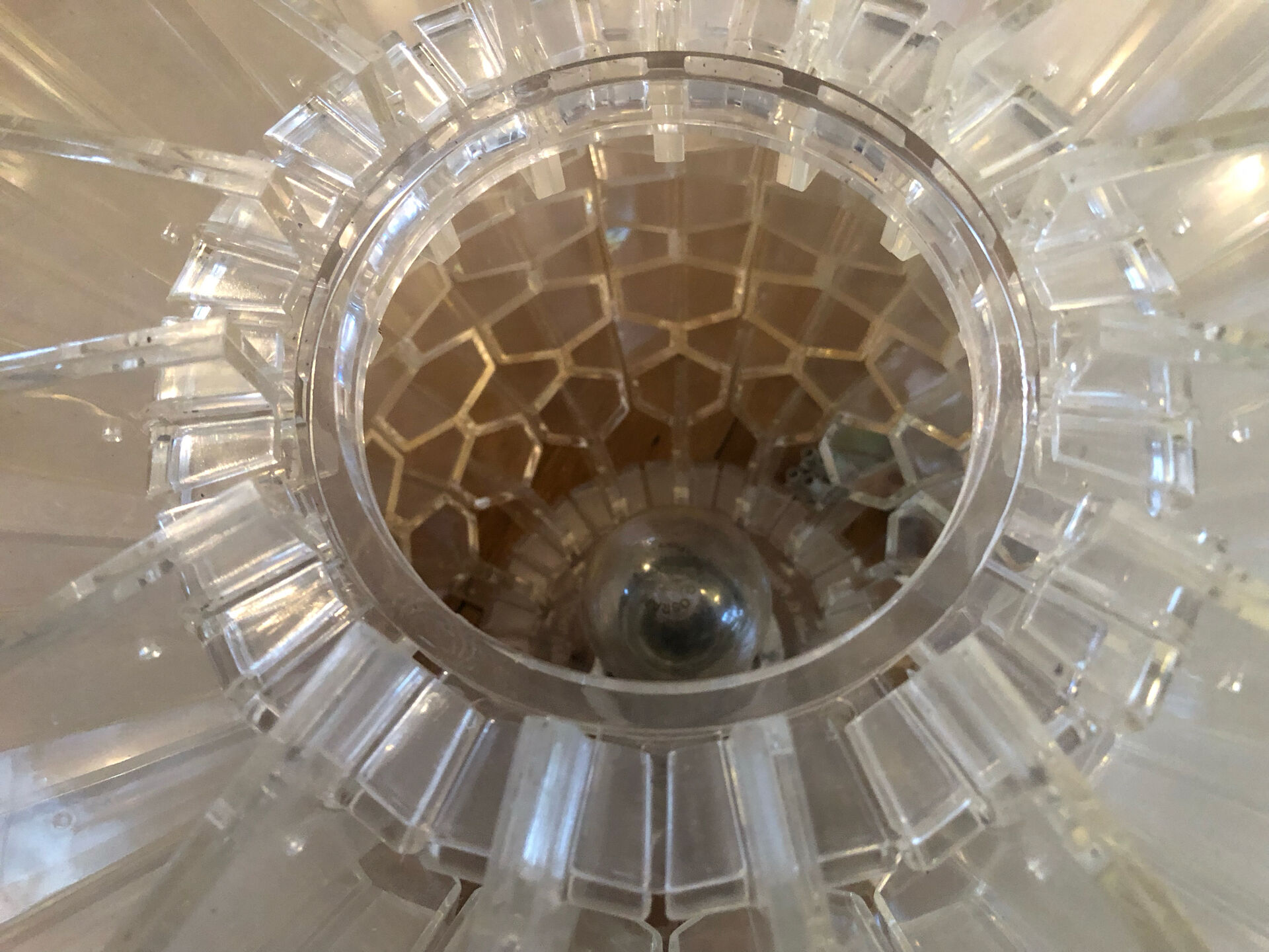 Lustre Altlucialternative Joy honeycomb