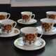 6 floral cups and saucers Bavaria West Germany