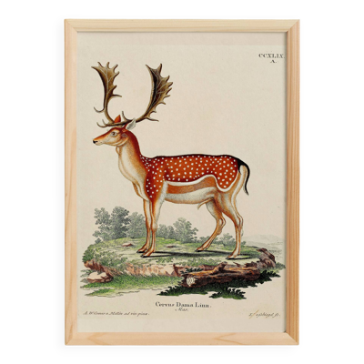 Affiche sur le daim, d’après une gravure ancienne de 1774.