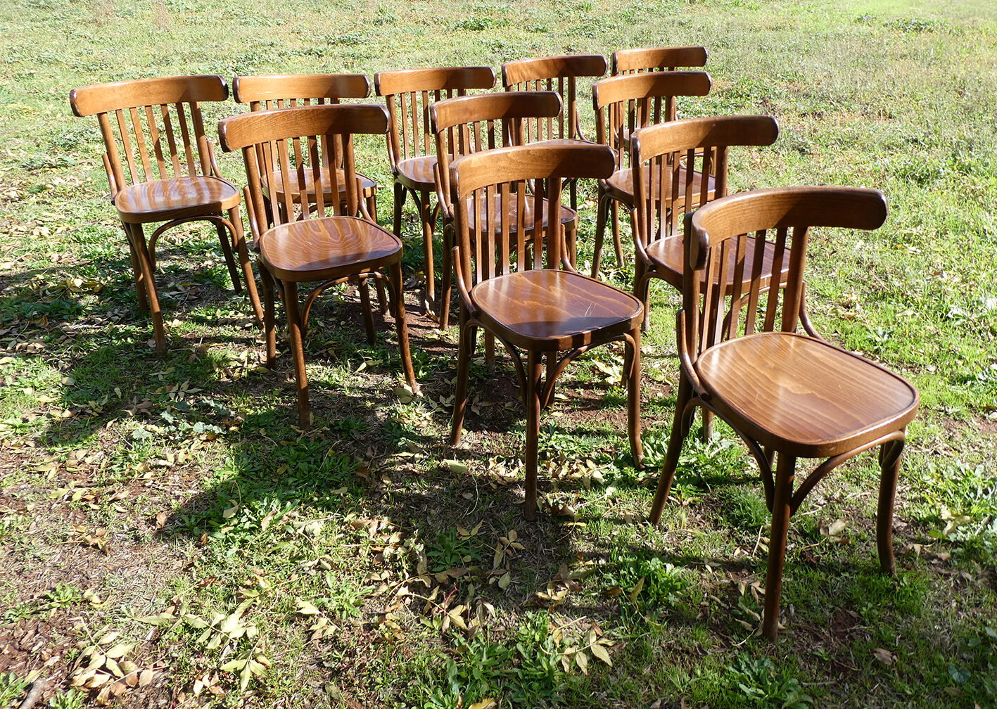 Lot of 11 vintage curved wooden bistro chairs