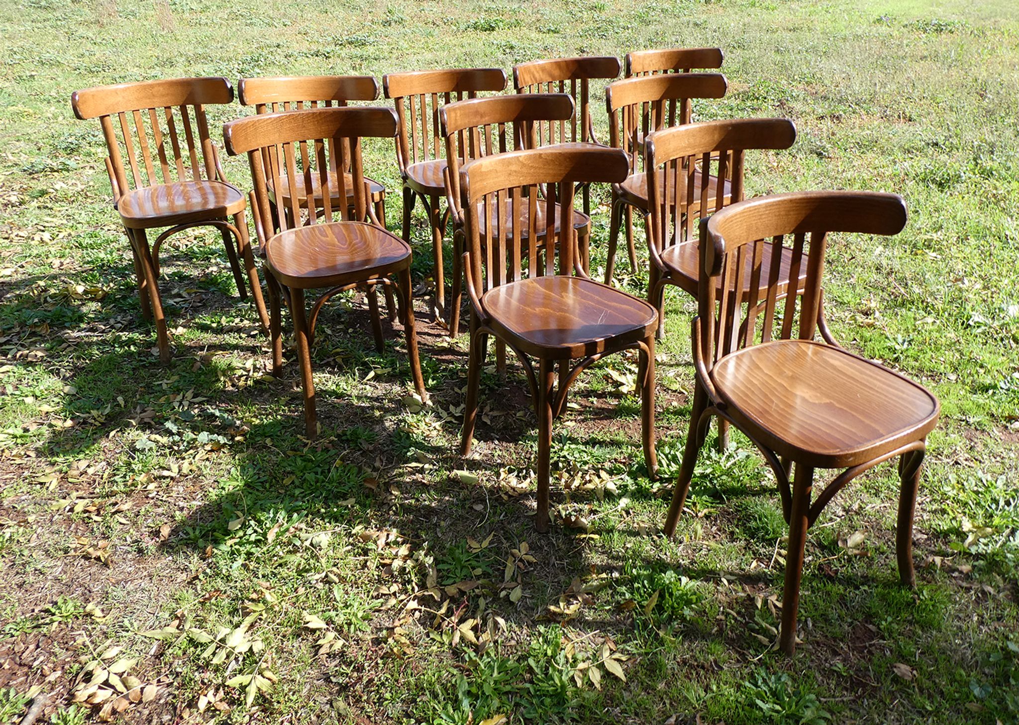 Lot de 11 chaises bistrot en bois courbé vintage