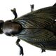 Cendrier en forme de mouche