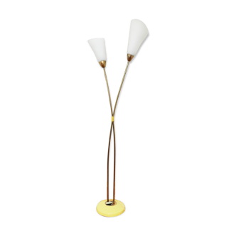 Mid-century floor lamp from Kamenický Senov