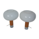 Pair of Drupol lamps, 60s