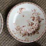 Series of 9 plates Iron Earth