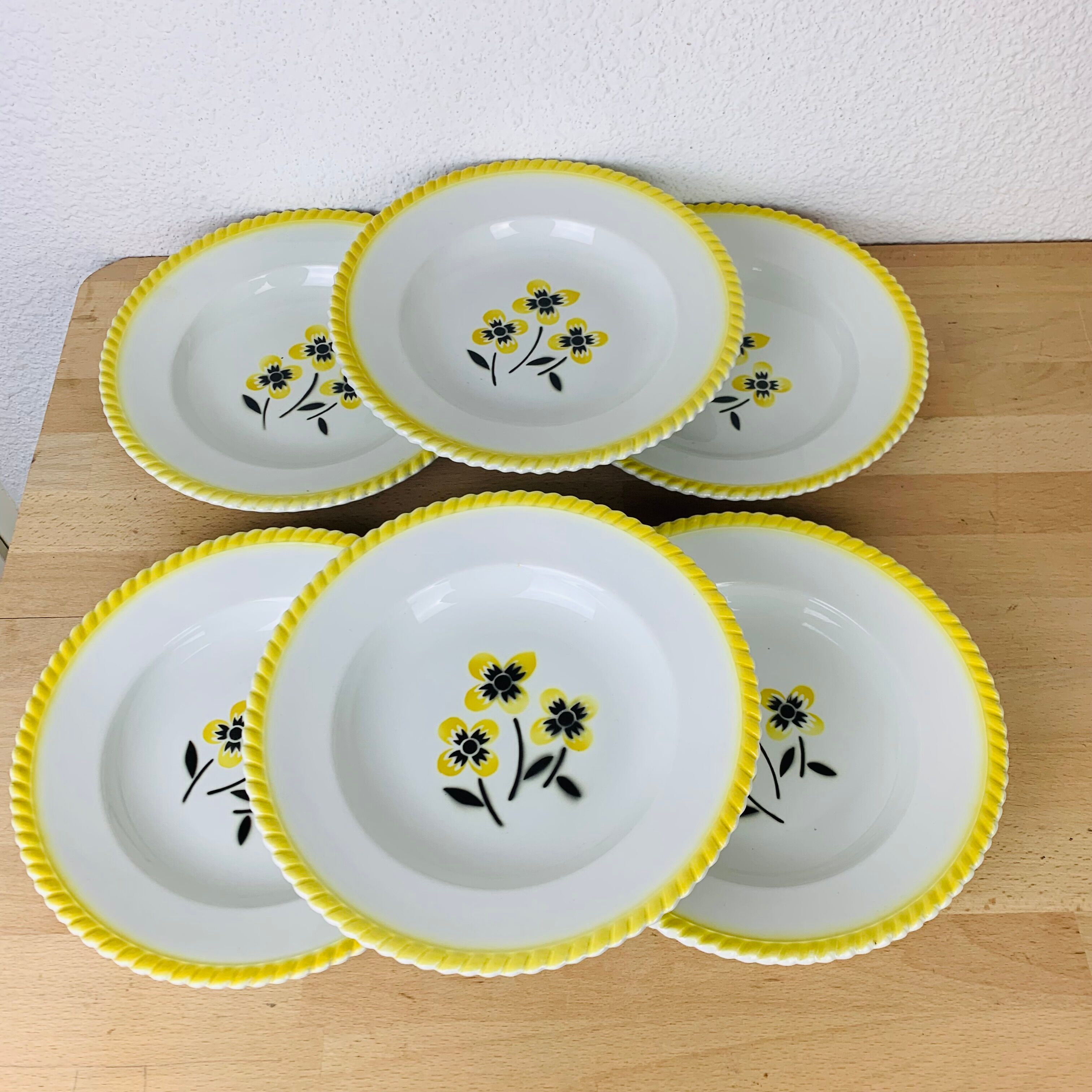 Set of 6 vintage hollow plates in earthenware