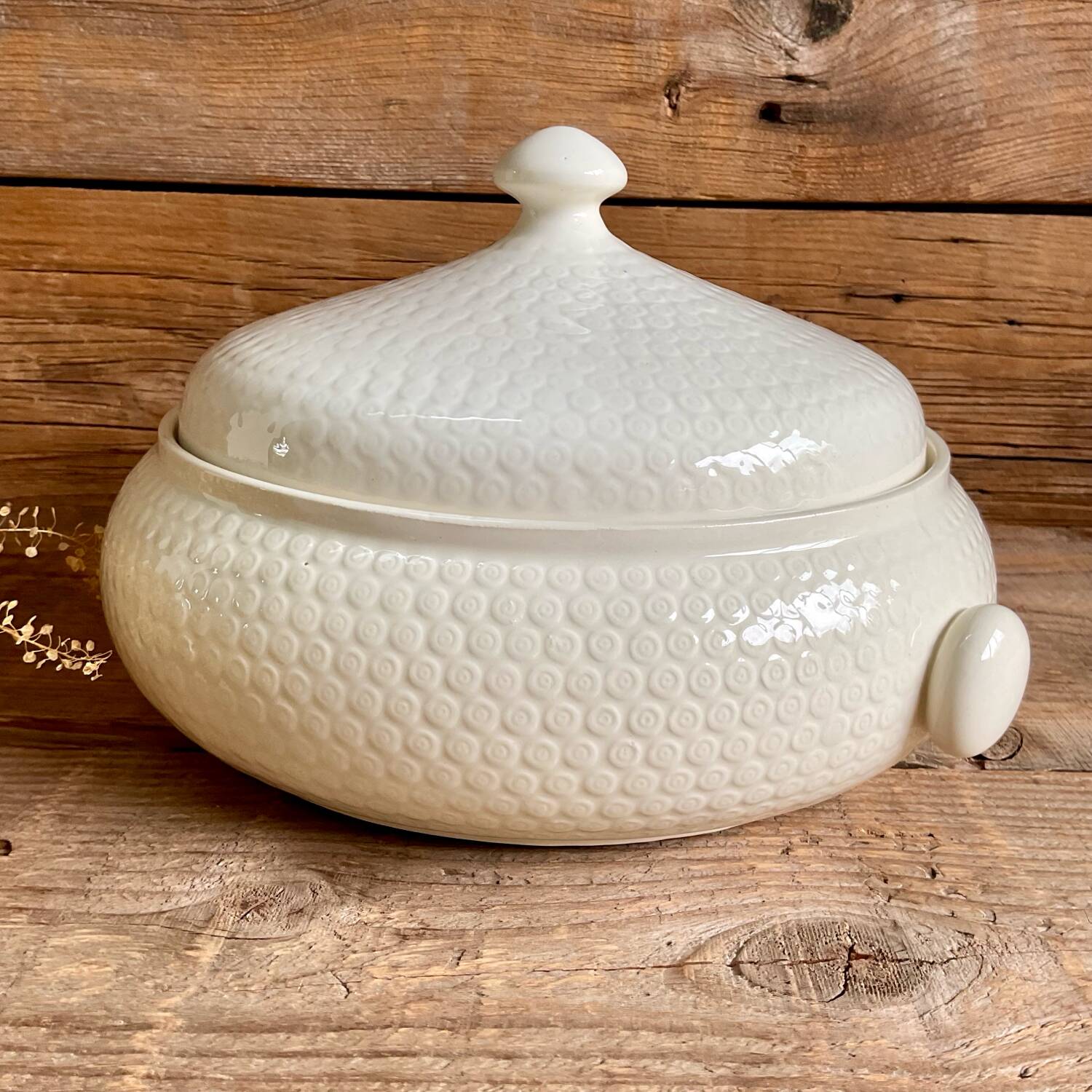 Soup tureen Gien France
