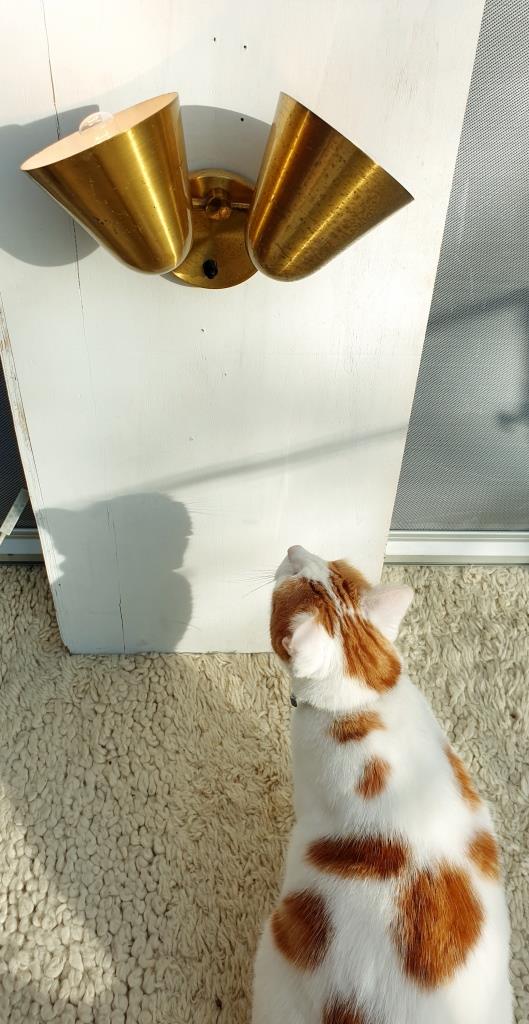 Double wall lamp adjustable brass cocottes