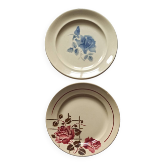 Duo of mismatched flower plates