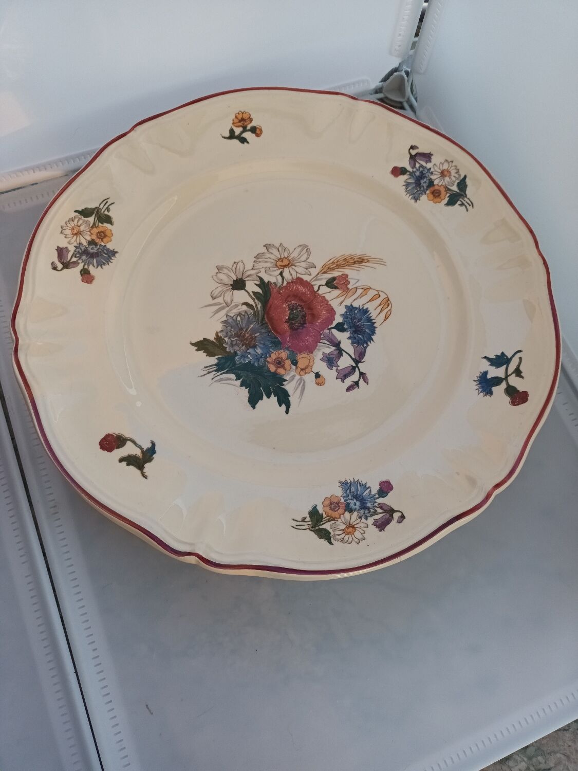 Dish of Sarreguemine