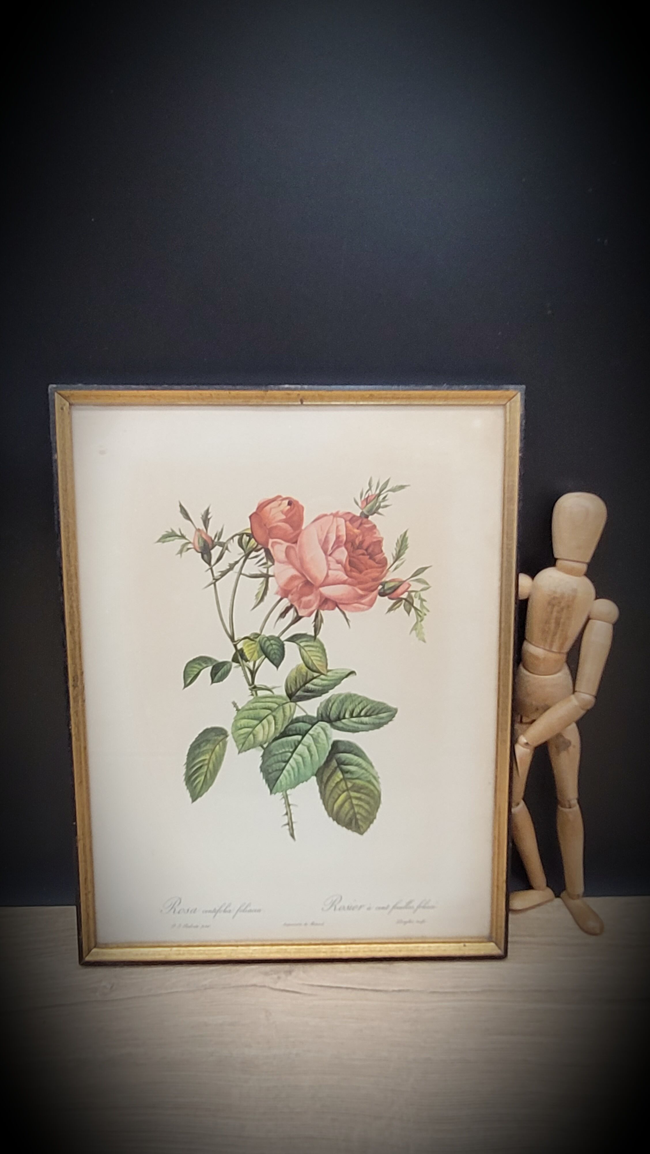 Litho Rose one hundred leafy leaves