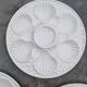 Set of 6 oyster plates with shells in white earthenware