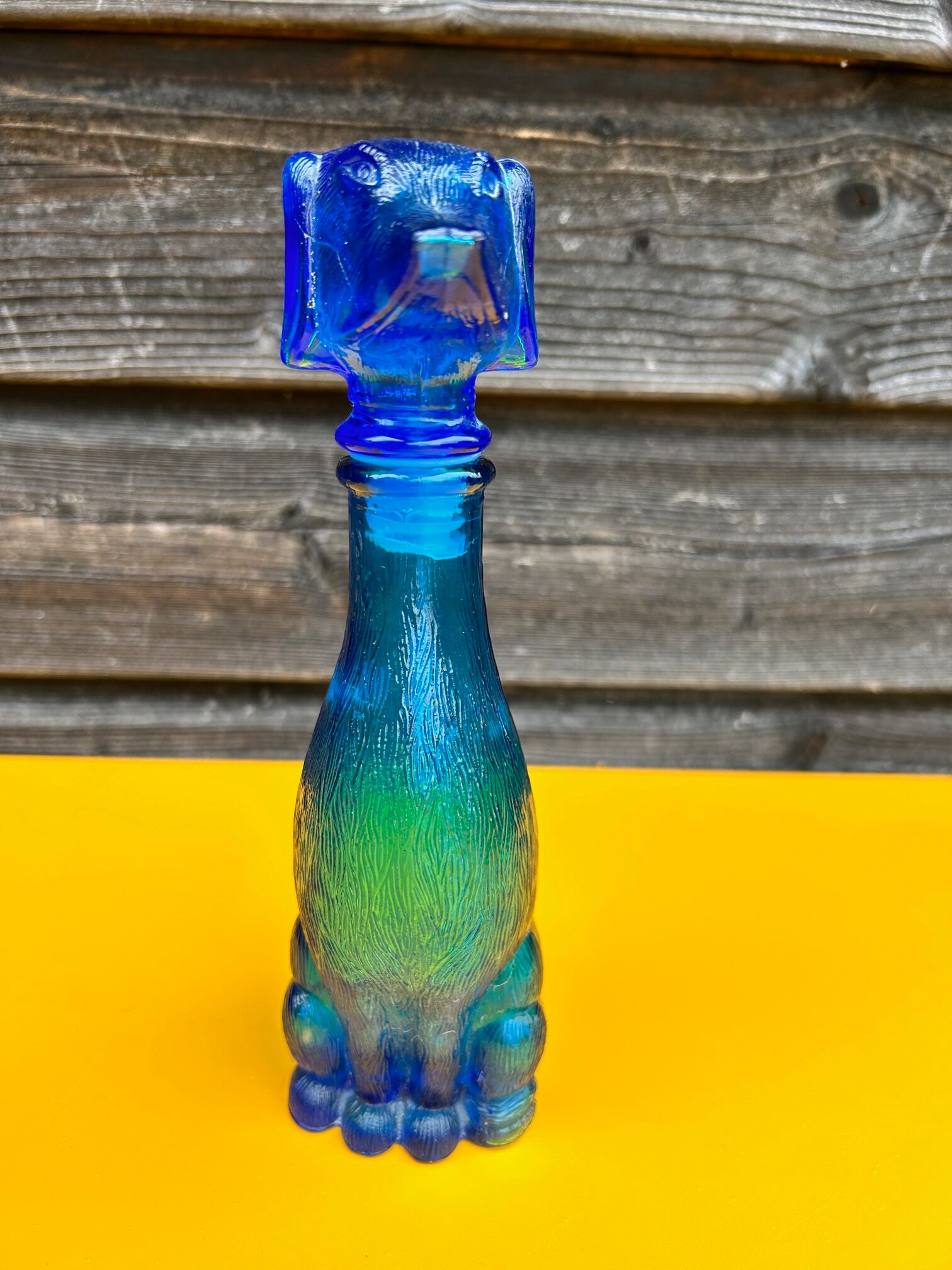 Italian bottle dog polite